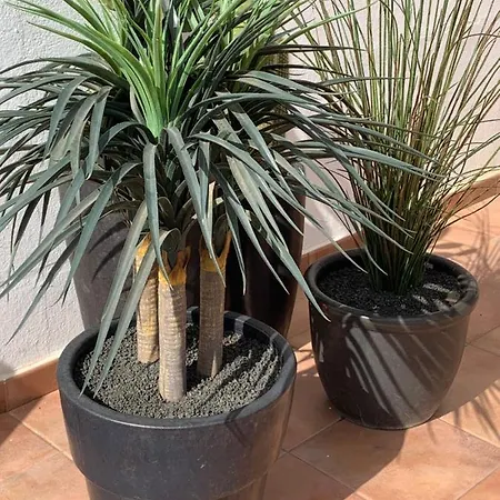 Splendid Casa Papagayo, Heated Pool, Roofterrace With Views And Wifi 别墅 *