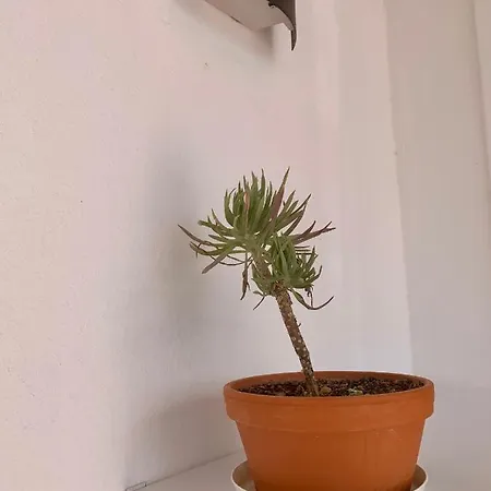 Splendid Casa Papagayo, Heated Pool, Roofterrace With Views And Wifi Playa Blanca